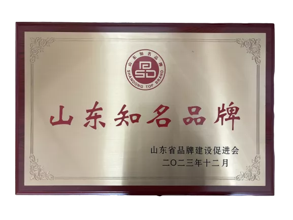 山东知名品牌